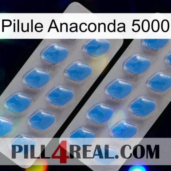 Anaconda 5000 Pill 23.jpg